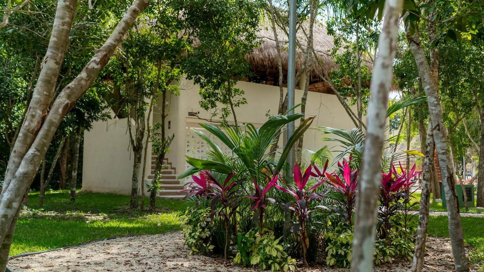 Casa Yellowstone - A Gem In The Hidden Jungle Mexiko